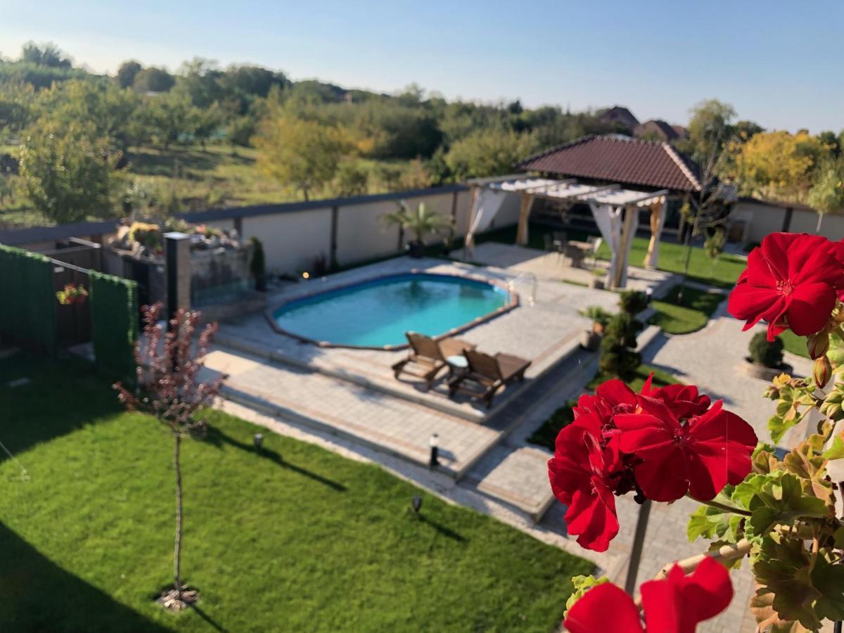 Kovac Residence 兹雷尼亚宁 外观 照片