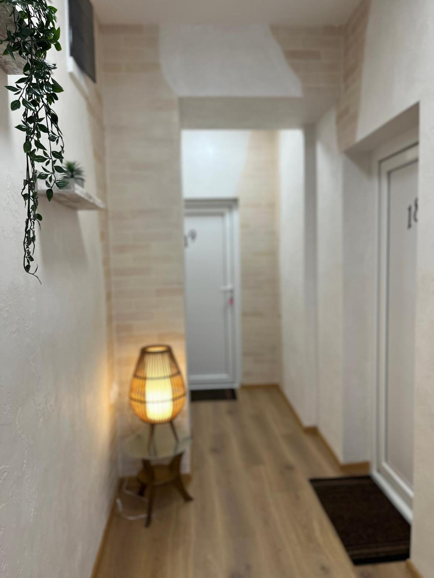 Kovac Residence 兹雷尼亚宁 外观 照片